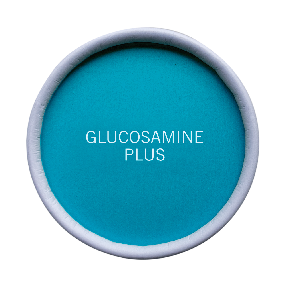 Glucosamine Plus 2 Glucosamine Plus - Image 2